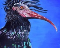 painting wall decor wild bird, Northern Bald Ibis