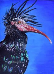 painting wall decor wild bird, Northern Bald Ibis