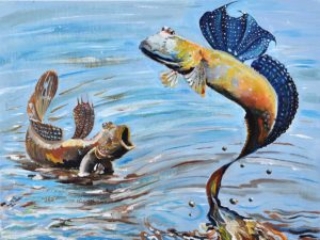 Mudskipper, Acrylic (Fish Art contest: 1st Place in GA, National Top 3)