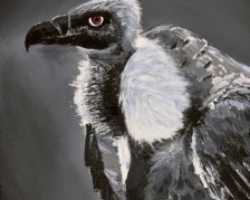 vulture painting wall decor wildlife bird