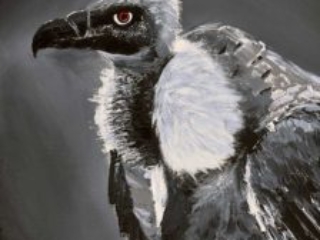 vulture painting wall decor wildlife bird