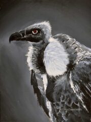 vulture painting wall decor wildlife bird